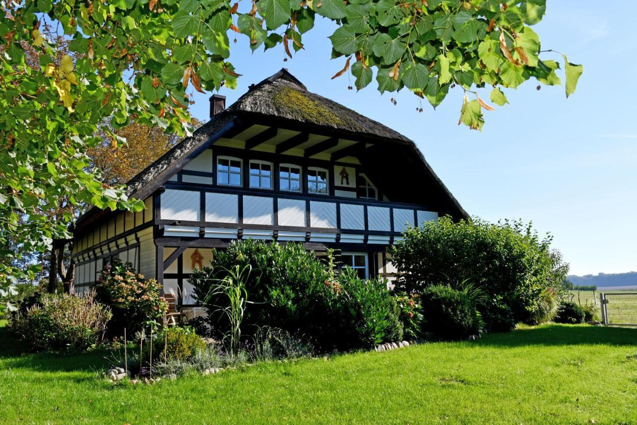 Reetdachfachwerkvilla Am Wiesengrund Bergen Auf Rugen Zewnętrze zdjęcie